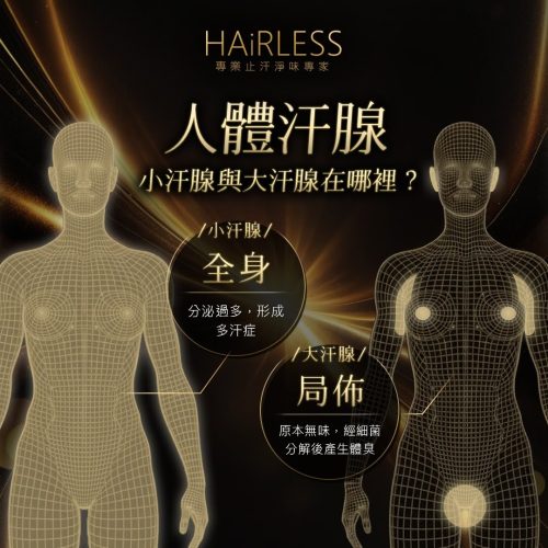 止汗劑pic2